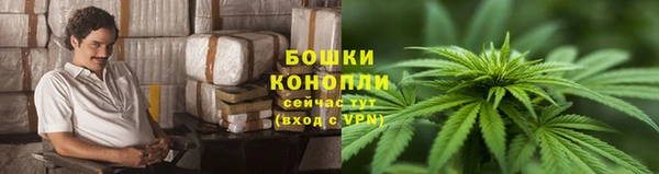 первитин Дмитриев