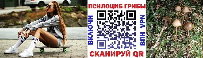 Галлюциногенные грибы MAGIC MUSHROOMS  Тосно 